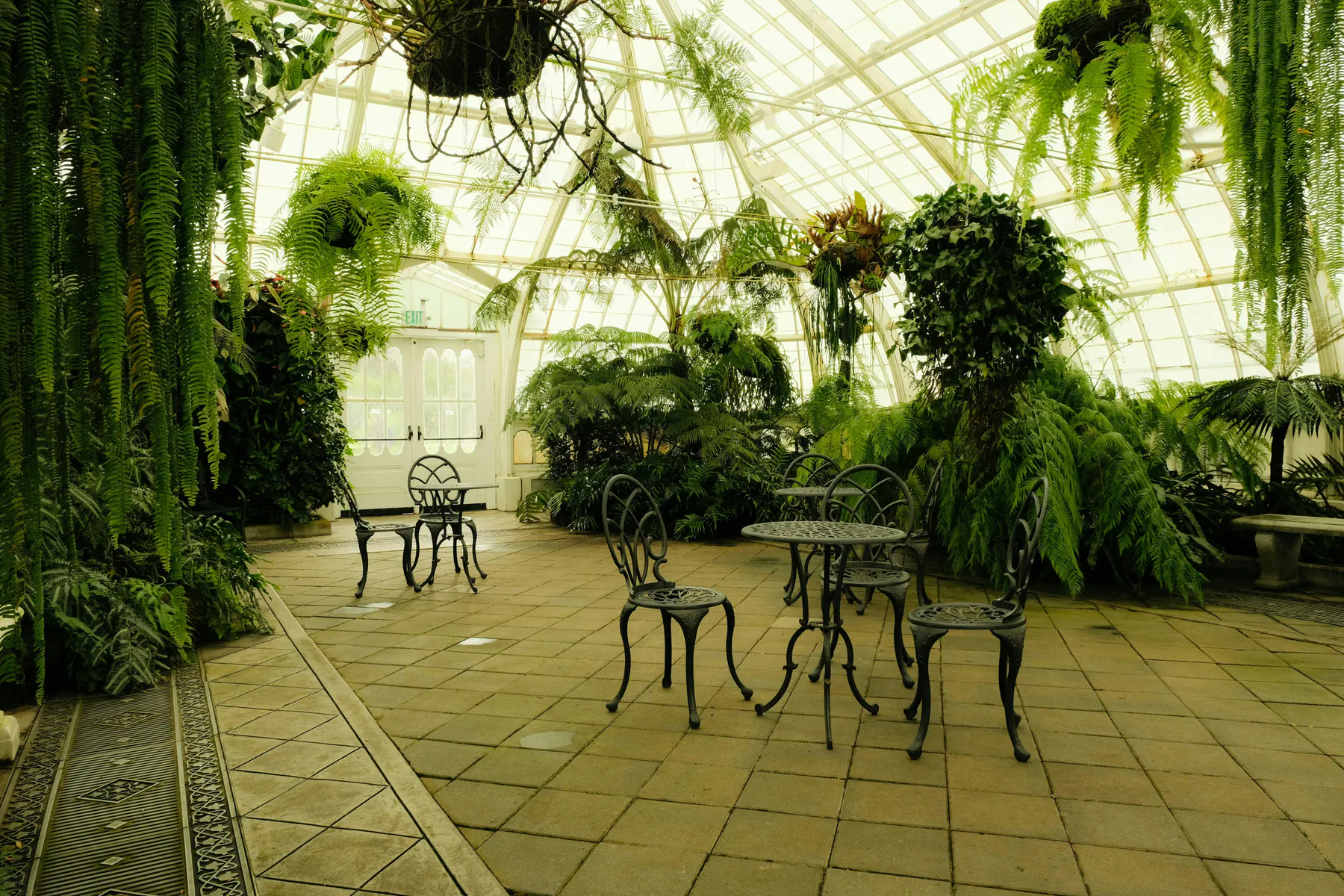 A bright palm house interior with paths, iron chairs and dense ferns beneath the glass roof
