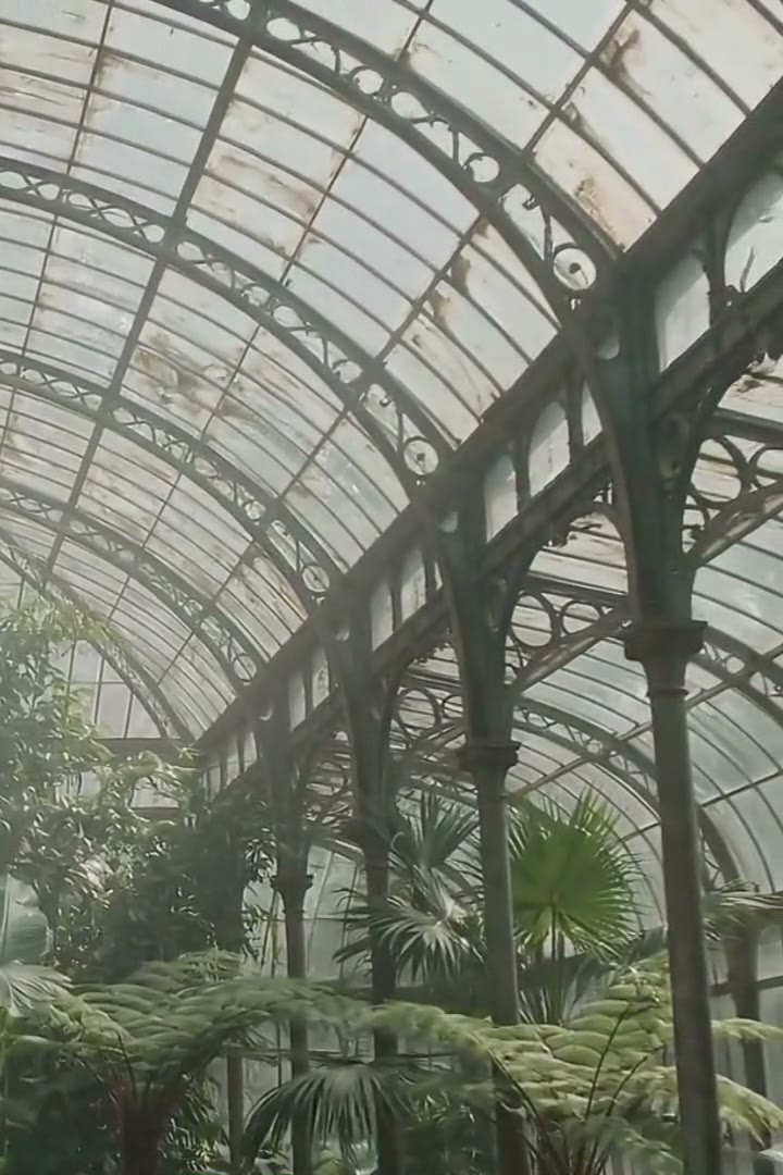 Original Victorian glazing bars and ironwork seen from below against the canopy
