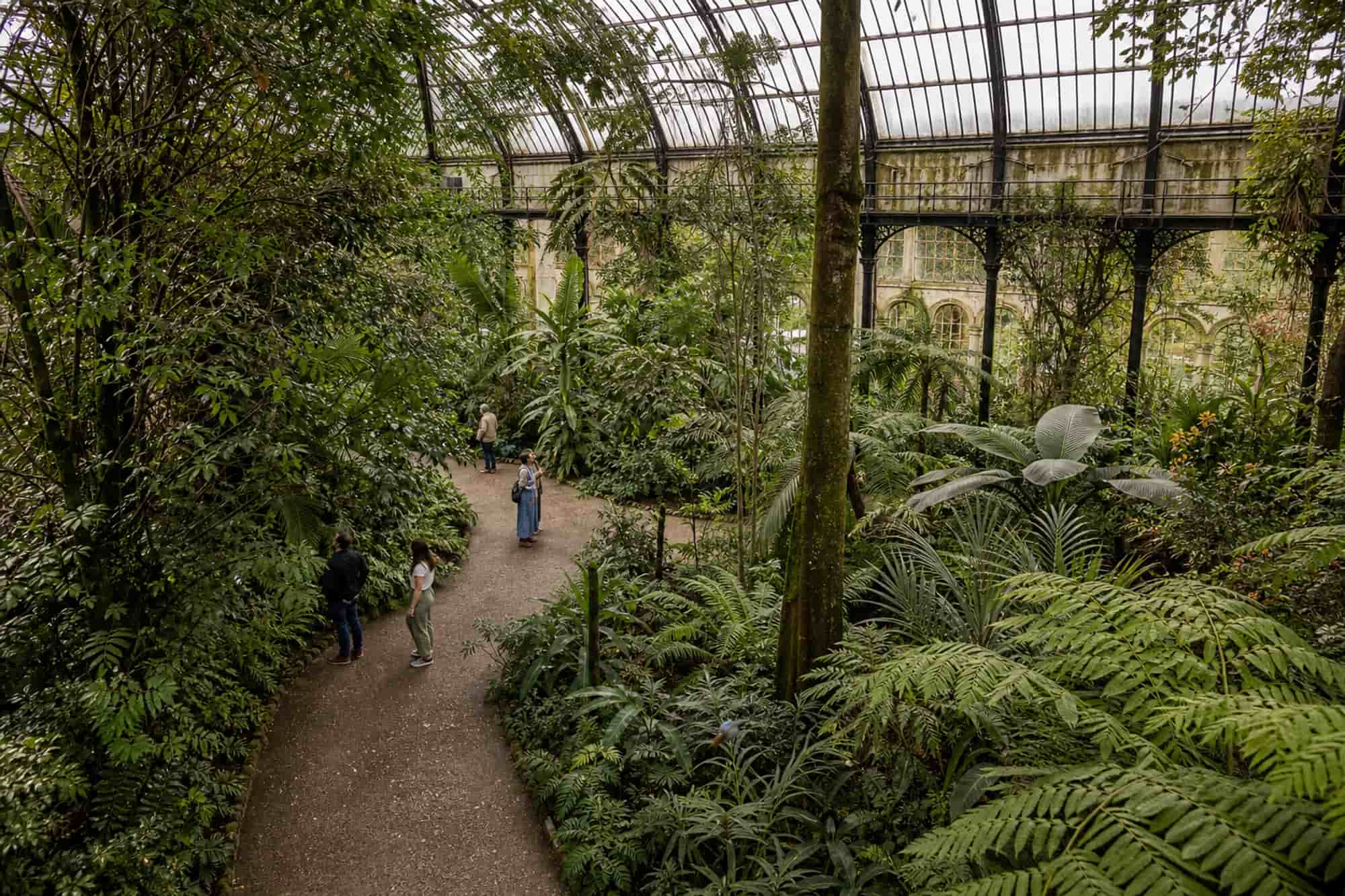 The main path seen from above with visitors small among tall planting