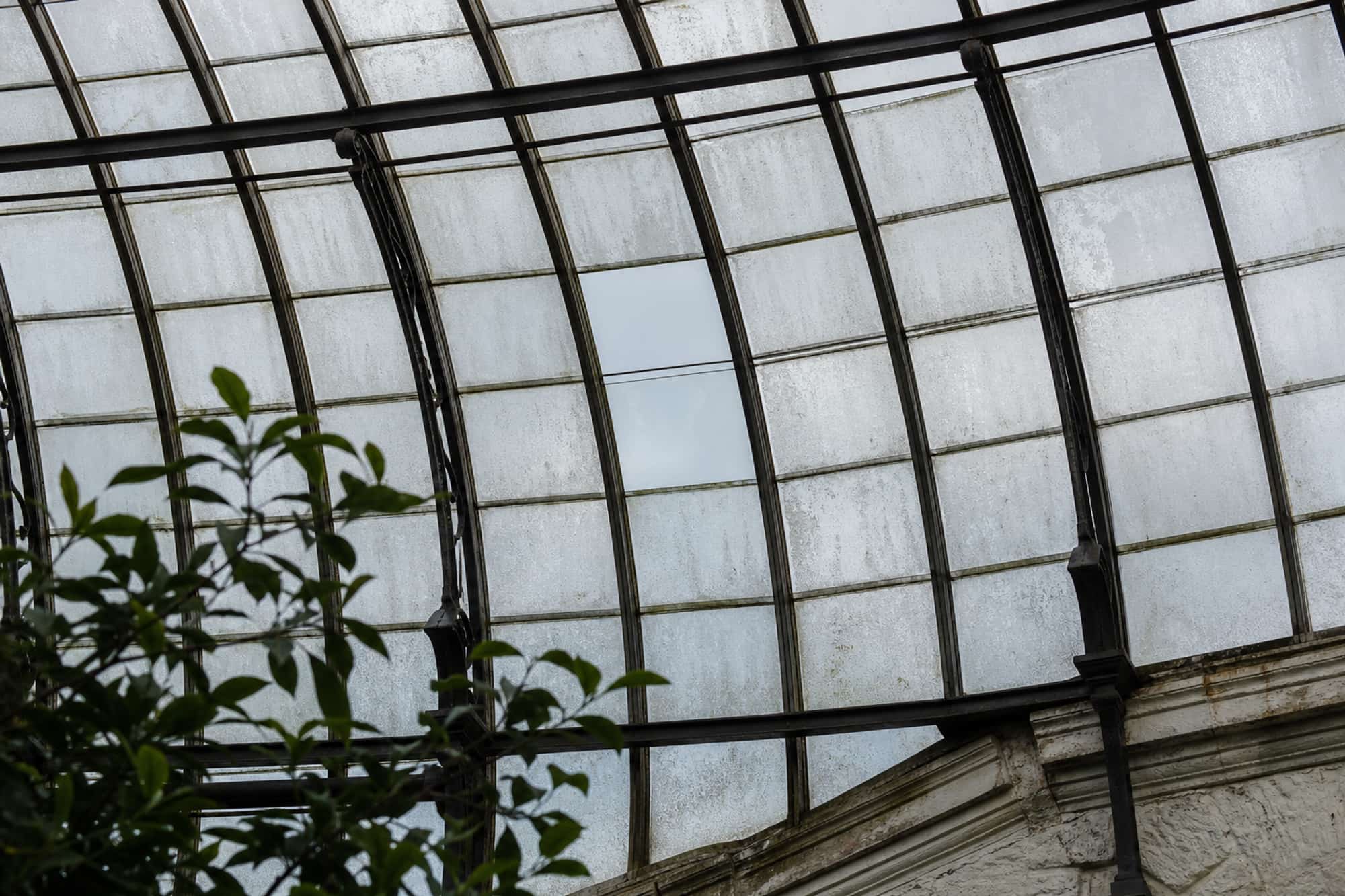 One visibly newer pane of glass set among older, weathered panes in a roof
