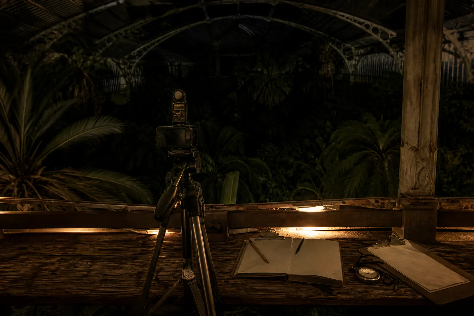 Roost timing equipment on a stand under low amber light, with the canopy dark behind it